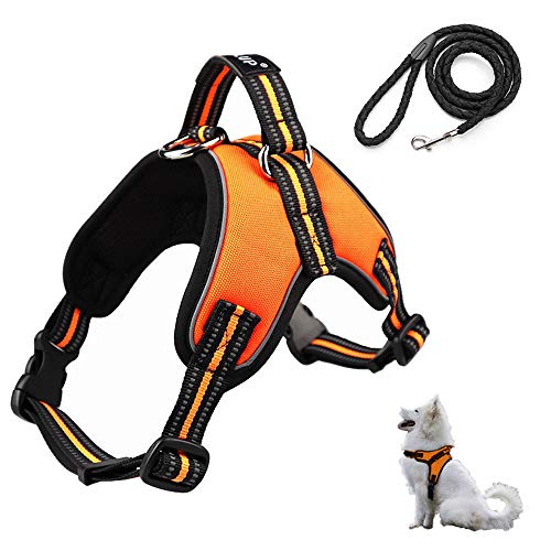 baobë Adjustable Outdoor Pet Vest Light Weight Dog Harness Dogs Leash Set with Reflective Oxford Material for Large Medium Dogs Outdoor Training Walking