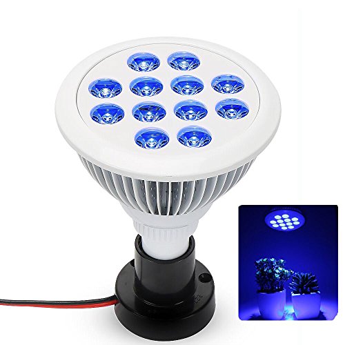 LED Grow Light eSavebulbs 36W Blue Led Plant Grow Light Bulb for Indoor Greenhouse Aquarium Plant Growth