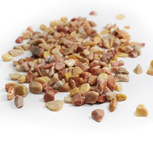 BXI - Decorative Stones - Garden Yard Walkway Fish Tank Aquaruim - Gravel Pebble Rock - 2 Pounds - Corn yellow pebble