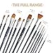 Paint Brushes – Professional Paint Brush Set of 15 for Watercolor, Acrylic, Gouache and Oil Painting – Premium Quality Nylon Hair with Organizing Case – Perfect for Kids, Students, Artists