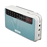 Rolton E500 Portable Stereo Bluetooth Speakers FM Radio Clear Bass Dual Track Speaker TF Card USB Music Player (Blue)