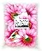 (12) BIG Silk Pink Gerbera Daisy Flower Heads , Gerber Daisies - 3.5