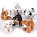 Dog Assortment - 12 per pack