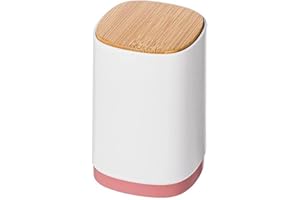 Toothpick Holder, Portable Retractable Toothpick Dispenser Retro Pop Up Toothpick Case Storage Organizer for Kitchen (Red)