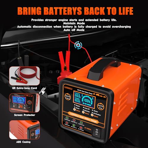 Caricabatterie Auto 12V/24V 20A Professionale, Caricatore e Mantenitore Automatico con Modalità Riparazione, Programma Invernale, Arresto Automatico,Ricarica Rapida per Auto,Camion,Moto,Camper