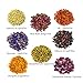 Missyoung Dried Botanical Flowers Kit, Dried Flowers for Soap Making Supplies, Dry Flowers for Candle Making, Dried Flowers for Bath Bombs 100% Natural No Additives (Big Pouches 8 Packs)