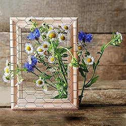 Chicken Wire 15.7 in x 590.5 in Poultry Wire