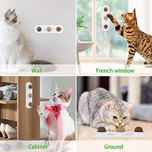 Peteast Catnip Toy, Edible Catnip Ball Safe and Healthy Catnip cat Family Chasing Game Toys, Cleaning Teeth, Protecting The Stomach