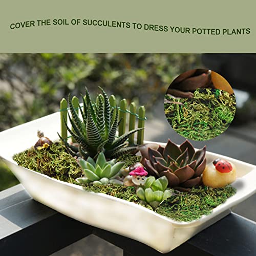 Fake Moss Artificial Moss for Potted Plants Greenery Moss(4OZ) Home