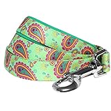 Blueberry Pet 5 Colors Paisley Flower Print Dog Leash with Soft & Comfortable Handle