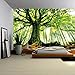 ENJOHOS Nature Forest Thick Tree Wall Tapestry Large 3D Print Wall Art Hanging for Bedroom Living Room Dorm Decor, W79 x T59,Green and White primary