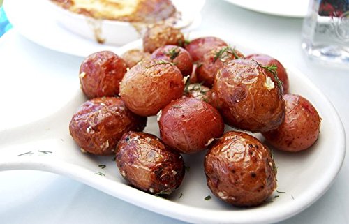 Simply Seed - 5 LB - Red Pontiac Potato Seed - Non GMO - Organic Grown - Order Now for Fall Planting