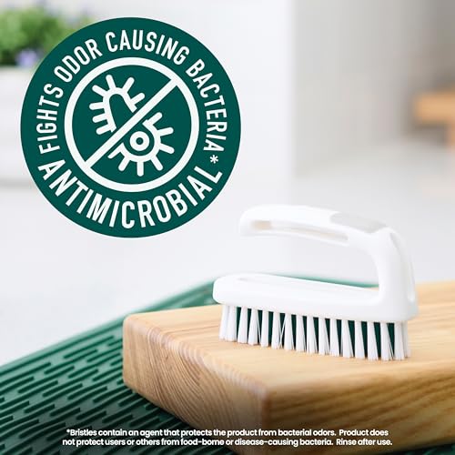 Scotch-Brite Small Utility Brush, Long Lasting Dish Brush with Handle for Scrubbing Cookware, Hands, Tile, Grout, Cutting Boards, and Utensils without Scratching, Antimicrobial, and Rinses Clean