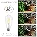 Antique LED Bulb, SHINE HAI 4W (40W Equivalent) ST64 Vintage Edison Light Bulb LED Lighting, 470 Lumen Daylight White 5000K E26 Base, Pack of 12
