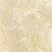 Ivory Commercial Travertine 12 X 12 Filled and Honed Field Tile