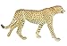 Safari Ltd. Cheetah Toy Figurine - Detailed 8