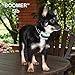 Our K9 Training Made Easy Bark Collar ​for ​Small Dog - ​Vibration No​ Shock, Rechargeable, Works in a Couple of Hours, ​Pain Free ​Control Device