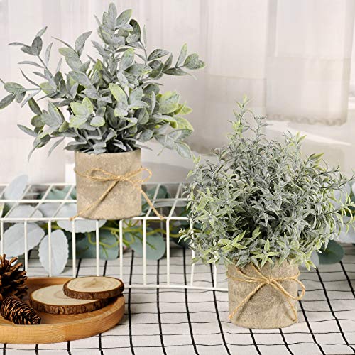JC nateva Small Fake Plants Mini Potted Artificial Plants Indoor for Home Office Farmhouse Kitchen Bathroom Table Decor - Image 5