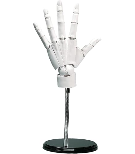Hand Odel 1:1 Articulated Annequin Hand Oveable Australia | Ubuy