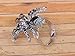 Alilang Women's Gunmetal Black Crystal Rheinstone Tarantula Spider Halloween Costume Adjustable Ring