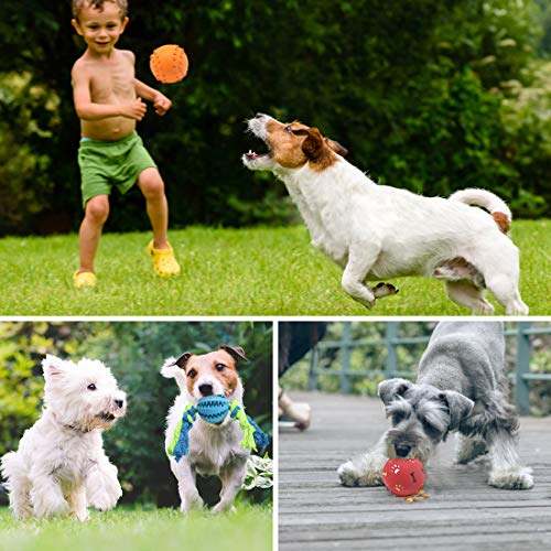 snug rubber dog balls