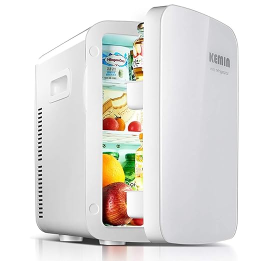 Mini Nevera eléctrica Cool Box 12V 240V para automóvil y hogar ...