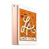 2019-Apple-iPad-mini-79-inch-WiFi-Cellular-256GB-Gold-5th-Generation Apple 2019 iPad mini (7.9-inch, Wi‑Fi + Cellular, 256GB) - Gold (5th Generation)