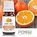 Orange Essential Oil (Sweet) 10 ml (0.33 fl. Oz.) - GCMS Tested, 100% Pure, Undiluted and Therapeutic Grade