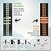 Wise Owl Outfitters Talon Hammock Straps - Combined 20 Ft Long, 38 Loops W/ 2 Carabiners - Easily Adjustable, Tree Friendly Must Have Gear for Camping Hammocks Like Eno Orange Stitching