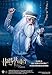 Star Ace Toys Harry Potter & The Order of The Phoenix Albus Dumbledore (1:6 Scale) Action Figure