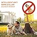 Pop Dog Bark Collar [2018 Version] No Bark Collar Dog Small/Large Bark Collar with Beep Vibration, 7 Sensitivity Levels, Harmless and Humane NO SHOCK … (orange)