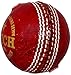 Leather Cricket Ball for Practice and Knocking Cricket Ball with Rope (Red)