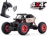 Remote Control Car for Boys, RC Cars for Gift Car Remote Control Road Vehicle Toys for Boy/Girls 4 WD 1:16 Scale Rock Crawlers