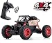 Remote Control Car for Boys, RC Cars for Gift Car Remote Control Road Vehicle Toys for Boy/Girls 4 WD 1:16 Scale Rock Crawlers