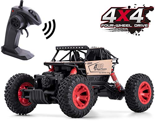 Remote Control Car for Boys, RC Cars for Gift Car Remote Control Road Vehicle Toys for Boy/Girls 4 WD 1:16 Scale Rock Crawlers