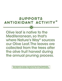 Nature's Way Olive Leaf, 100 Cápsula, 14521, 1