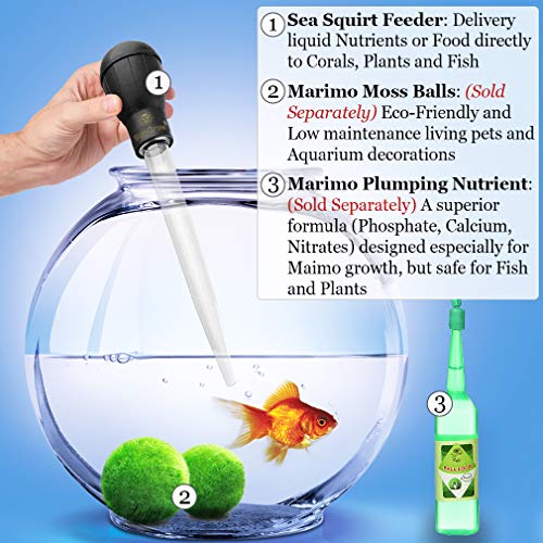 5 Squirt+Feeder+1pc+Extension+Aquariums