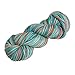 Knit Picks Stroll Hand Painted Merino Wool Fingering Weight Sock Yarn - 100 g (Koi Pond)