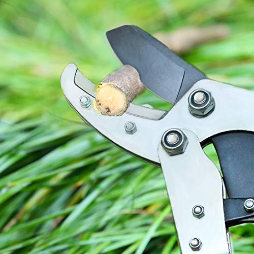 Terme Pruning Shears Compound Action Anvil Lopper Chops Thick Branches with Ease 2-Inch Cutting Capacity 30-Inch Tree Trimmer