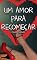 Livro Um amor para recomeçar