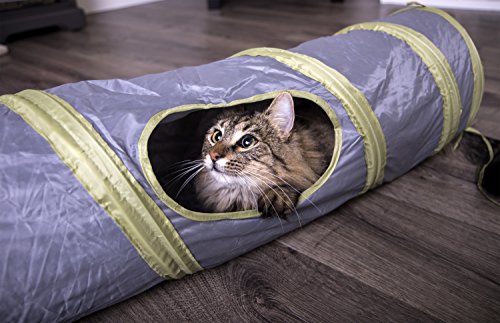 petlinks twinkle chute