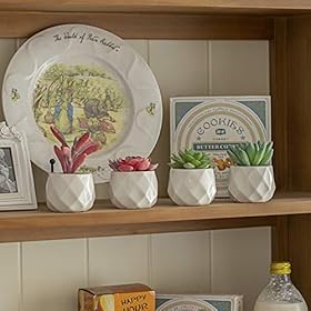 Artificial Succulent Plants Decor,4 Pieces of Various Fake Succulents in Mini White Ceramic Pots for Desk, Office… 51NcNGCK2ZL