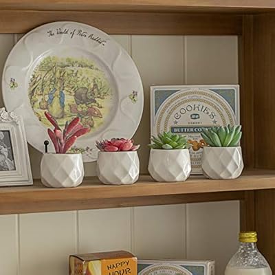 Artificial Succulent Plants Decor,4 Pieces of Various Fake Succulents in Mini White Ceramic Pots for Desk, Office… 51NcNGCK2ZL