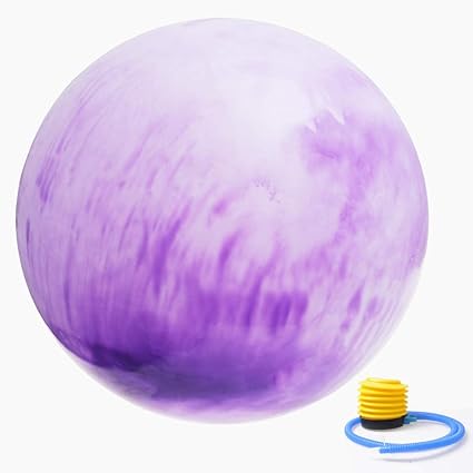 Swiss Ball Gym Ball Anti-Burst 65 cm Yoga Ball Fitness Ball con ...
