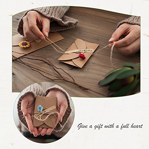 HANSGO Gift Card Envelopes, 100PCS 4 x 2.8 inch Cute Envelopes Small Gift Card Holders Mini Seed Envelopes with Heart Shaped Clasp
