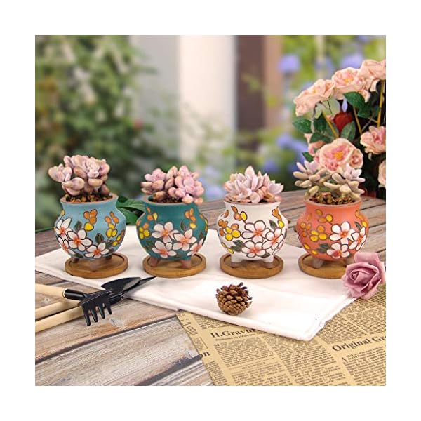 Summer Impressions Hand Painted Tall Round Succulent Planter Cactus