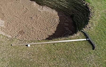 golf ball rake