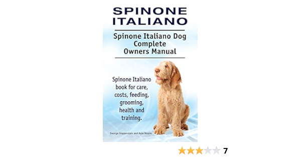 italian spinone cost