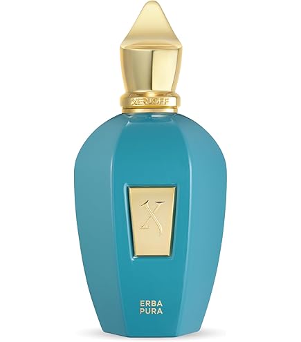 Amazon.com: Xerjoff Renaissance Eau de Parfum, 100ml / 3.4 fl oz