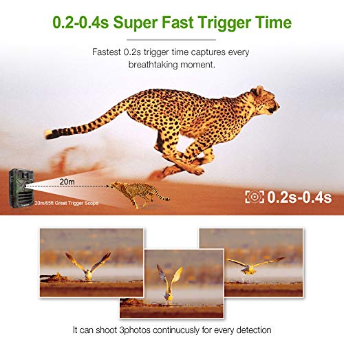 FLAGPOWER Trail Game Camera with Night Vision Motion Activated 16MP 1080P Hunting Camera with IP66 Waterproof 0.2s Trigger Time 32GB Memory Card 2.4" LCD Display for Wildlife Monitor